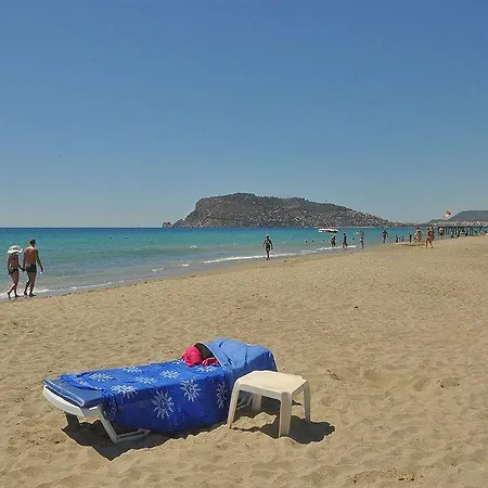 Oba Time 3*